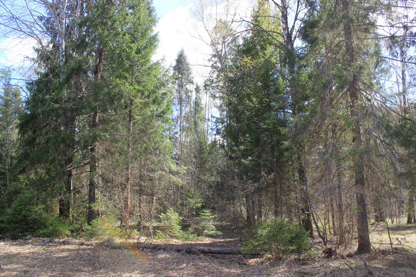 Про цены, угодья и путёвки