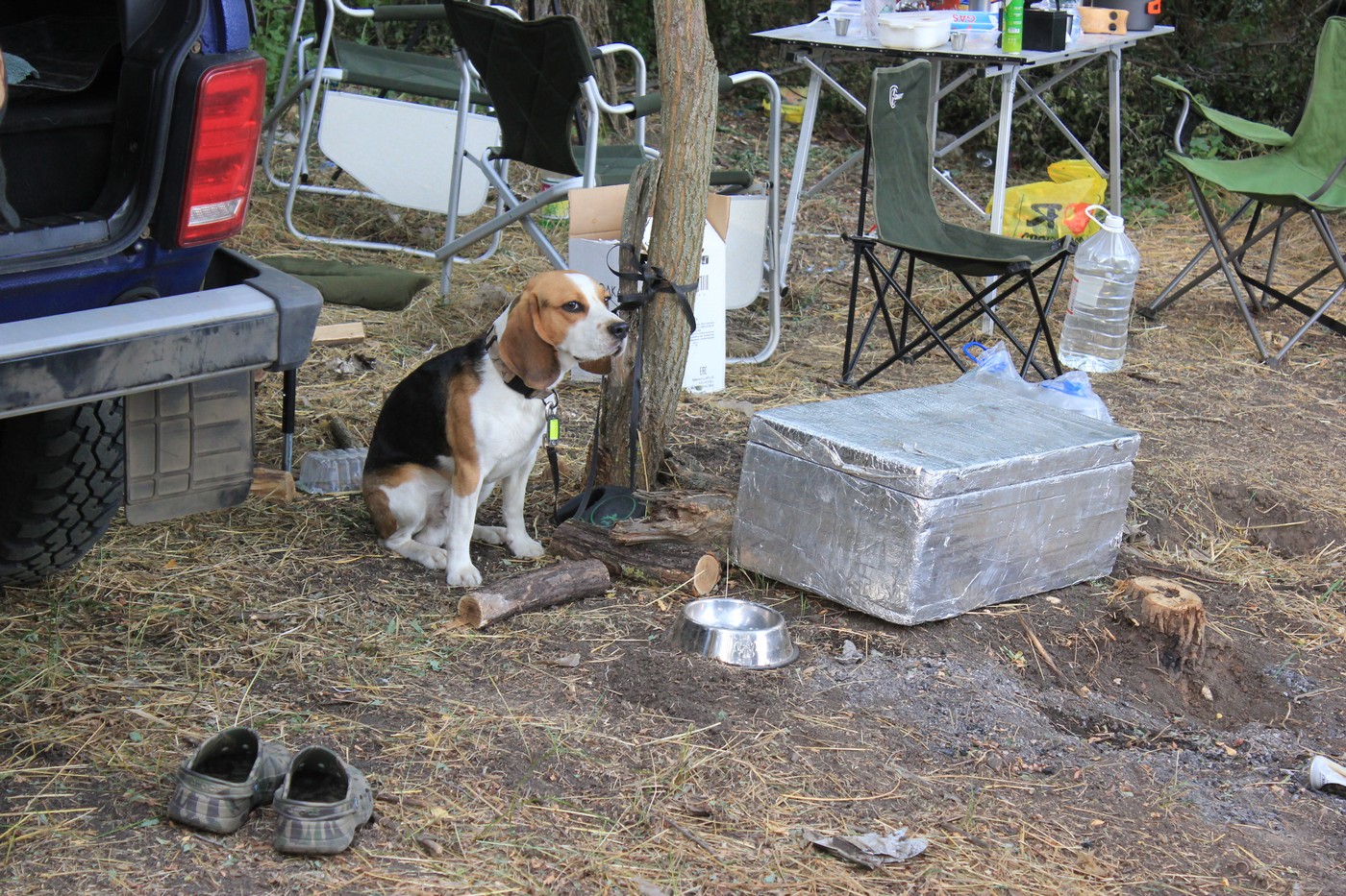Про цены, угодья и путёвки