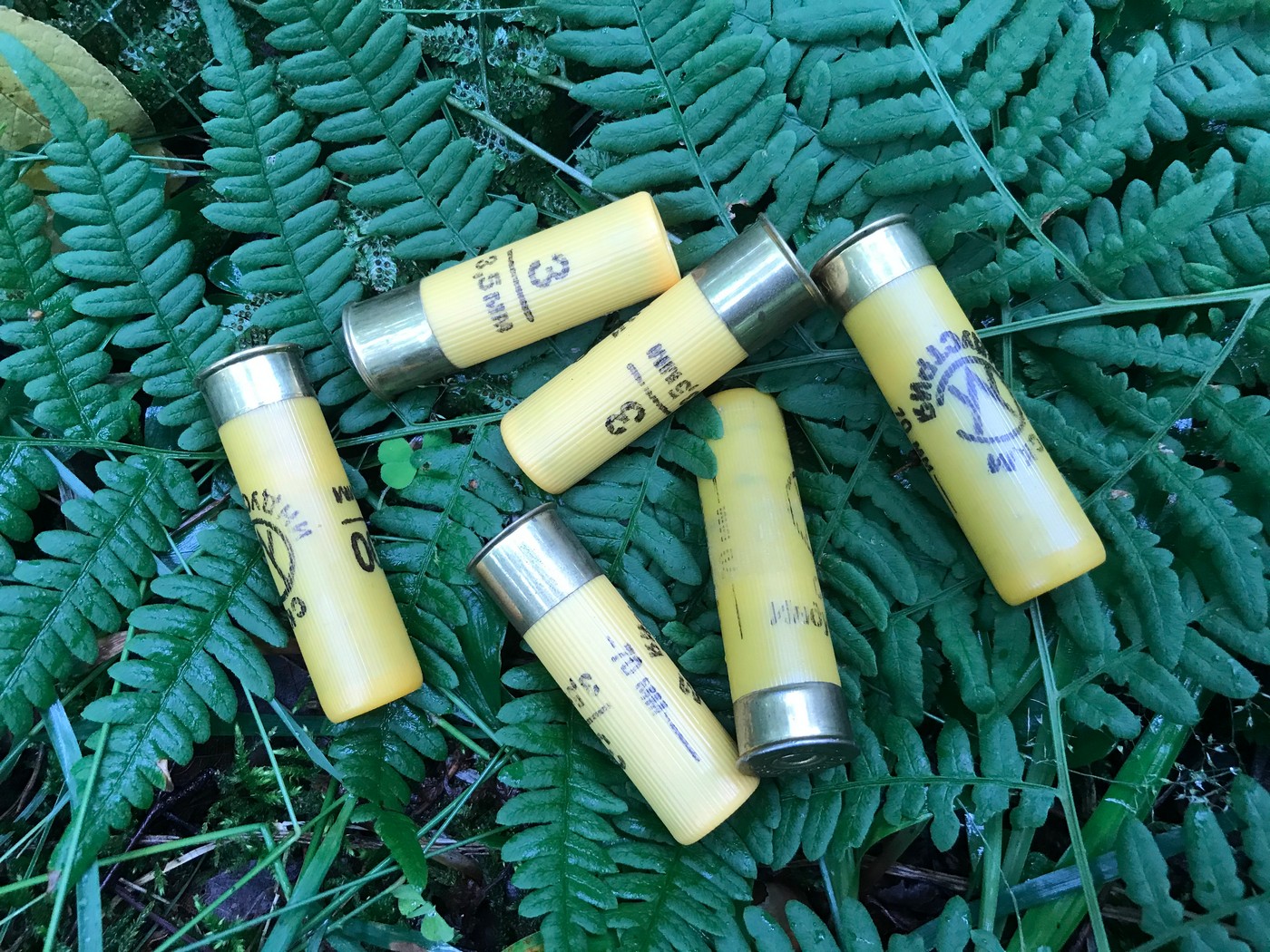 Срочно придётся разбогатеть