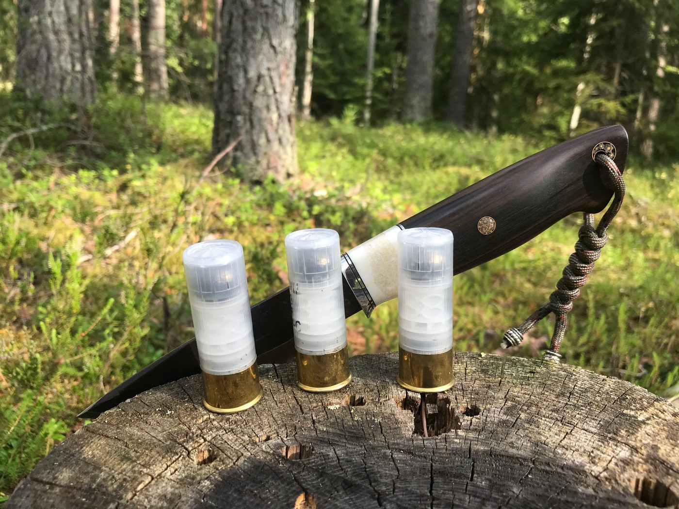 Срочно придётся разбогатеть