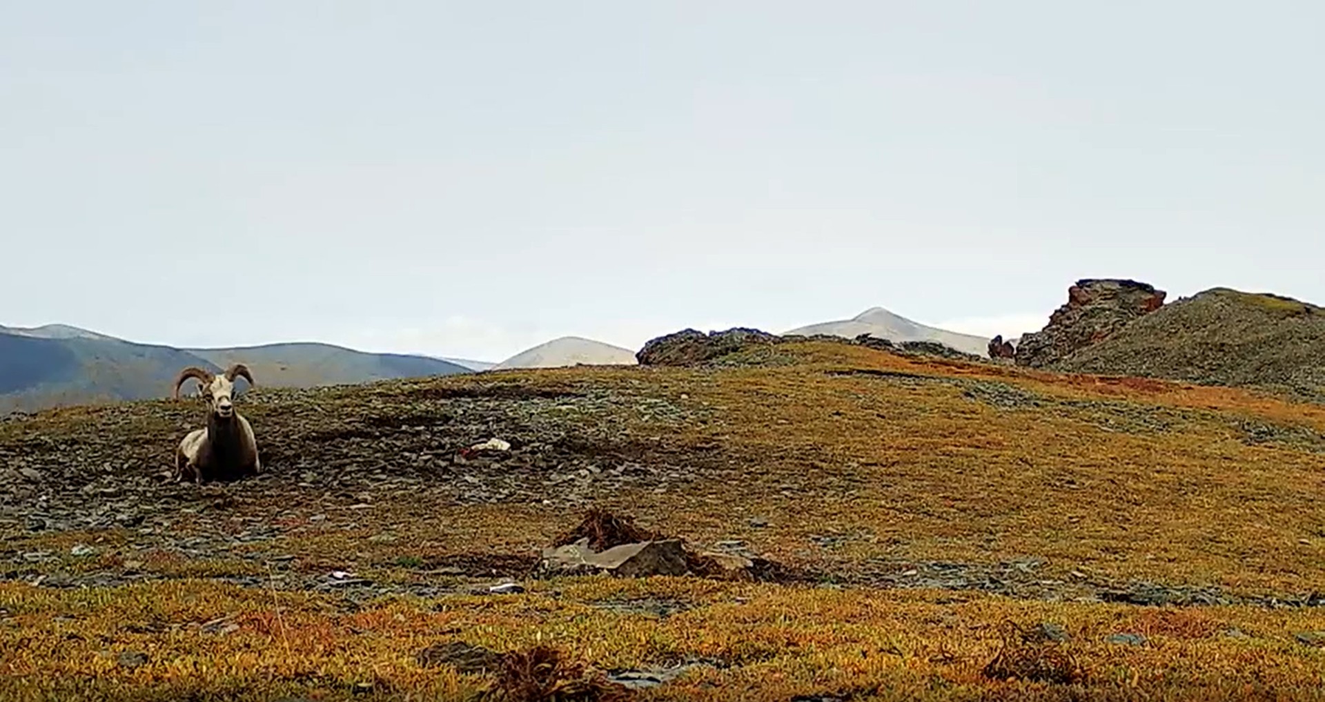 КГО вчера, сегодня, завтра…Интервью с Президентом КГО Э.В. Бендерским