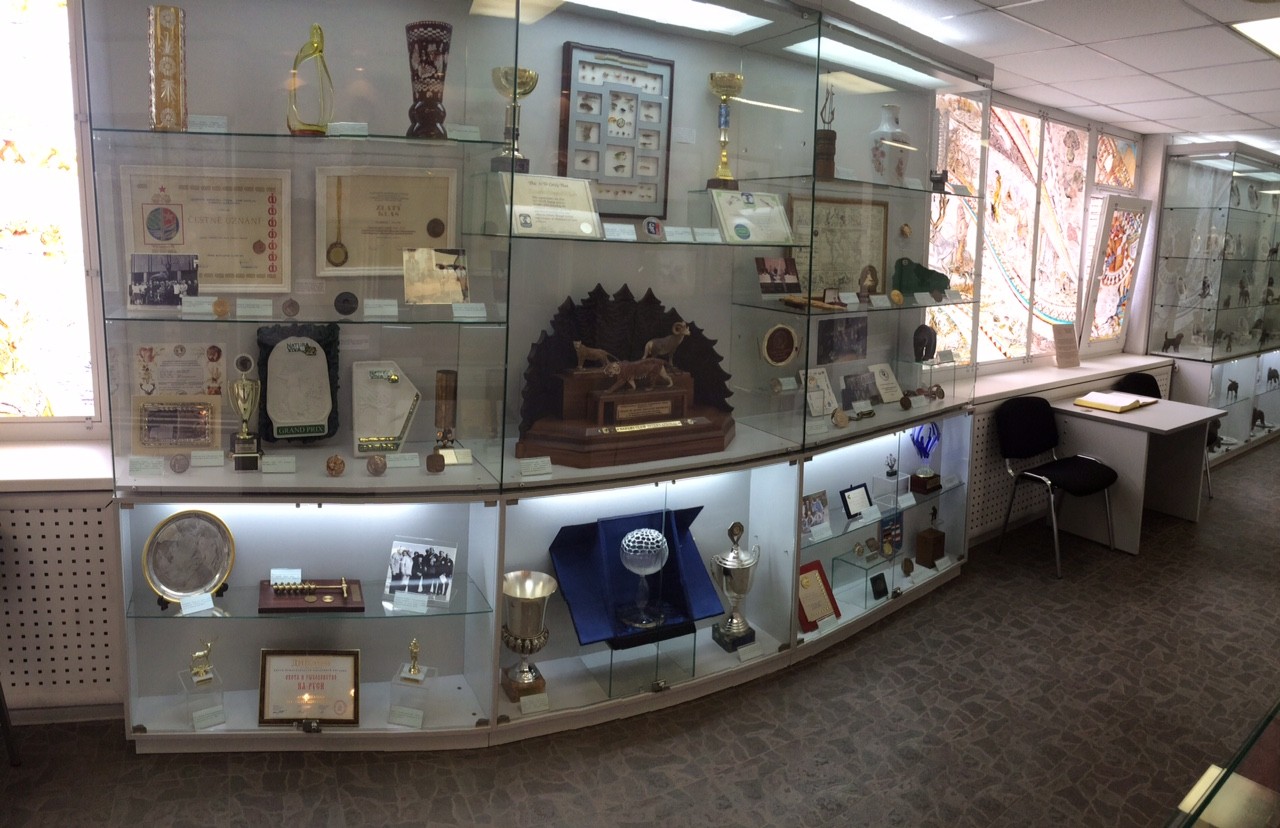 Обновление Музея охоты РОРС