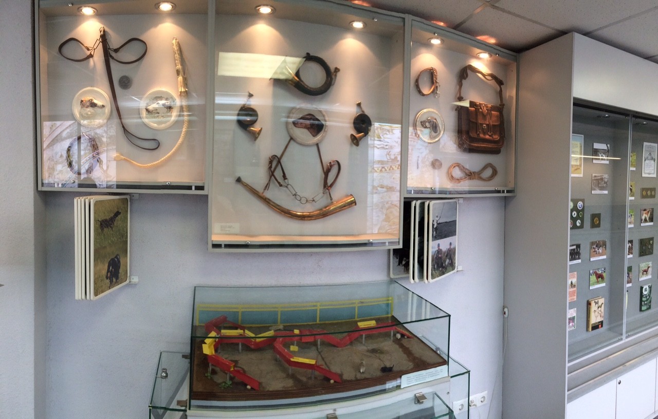 Обновление Музея охоты РОРС