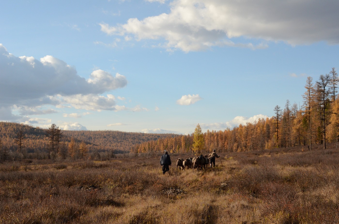 Пуще неволи: охота как часть культурного наследия России