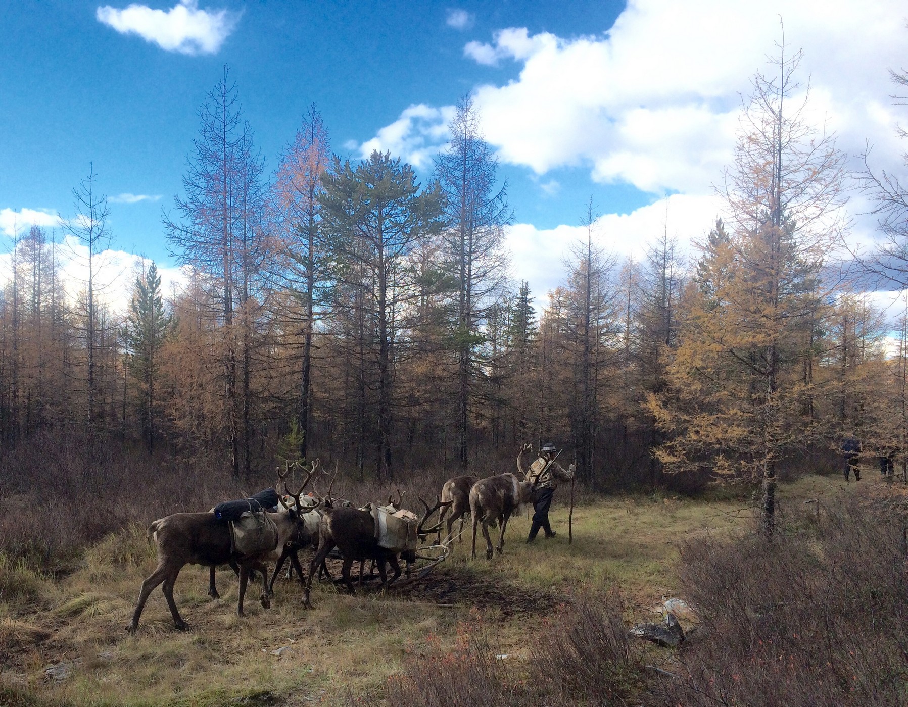 Охотник глазами тех, кто рядом