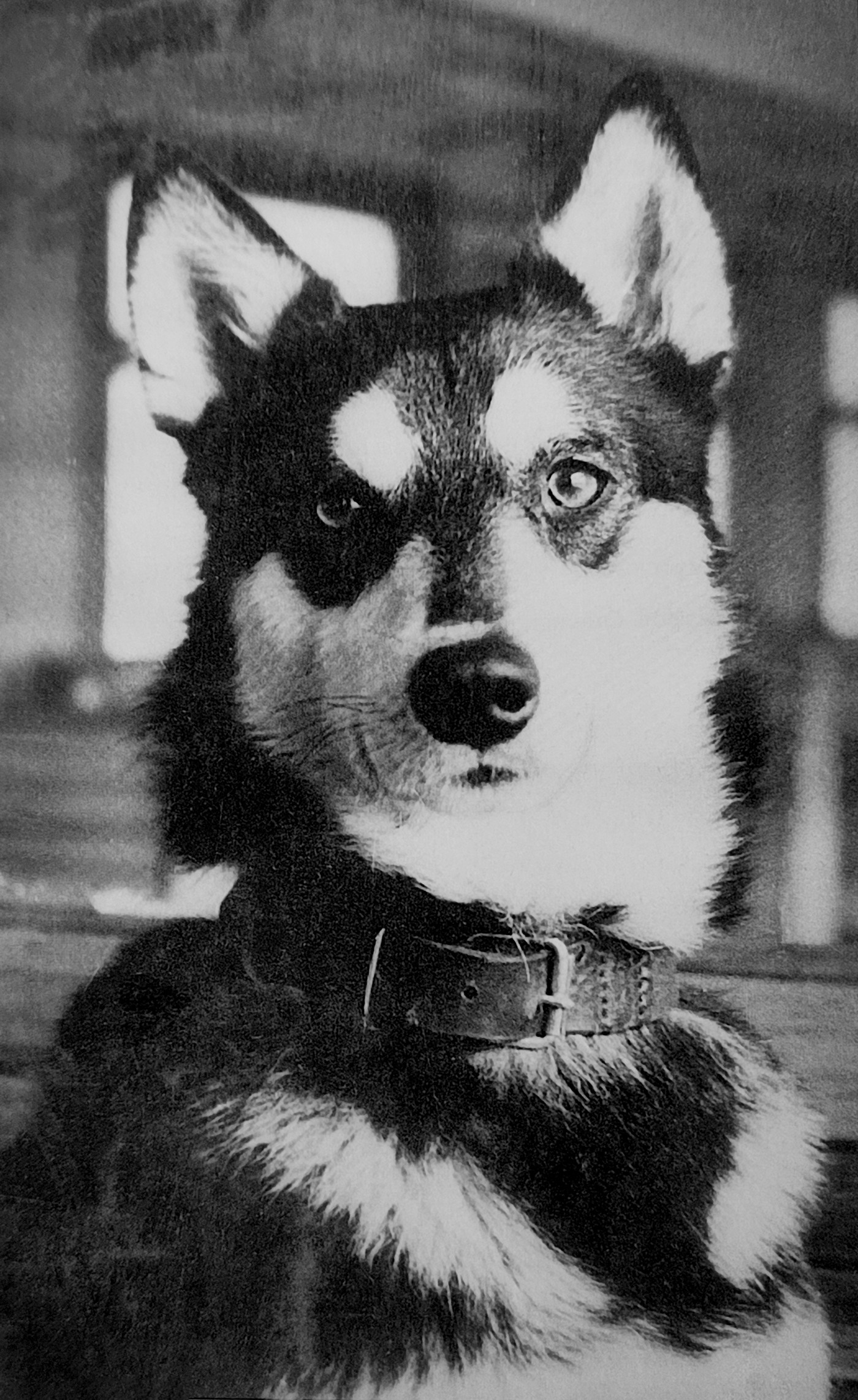 «Охоты длинная тропа». Писатель и биограф Вадим Борисович Чернышев