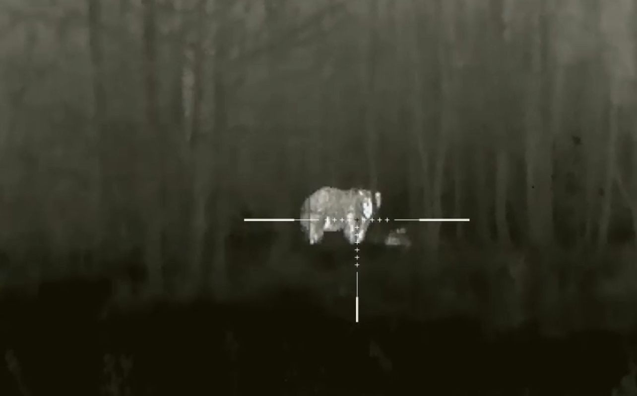 Варминтинг по-русски