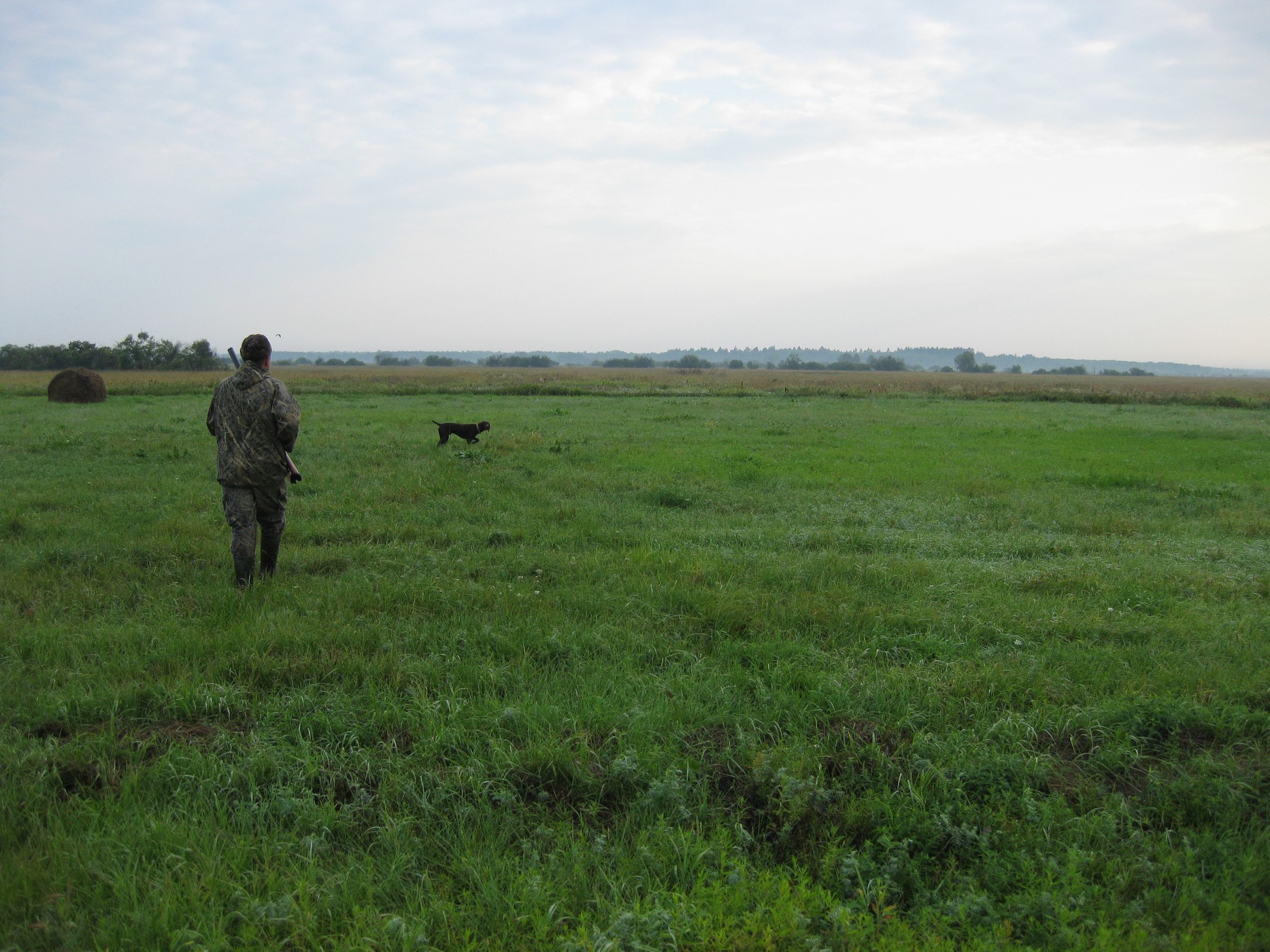 Выбор помощника «под ружьё»