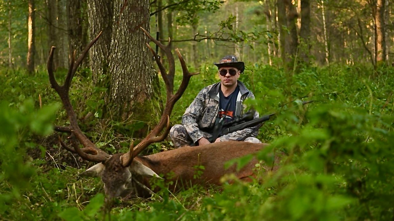 Беларусь: традиции охоты и охота как отрасль хозяйства