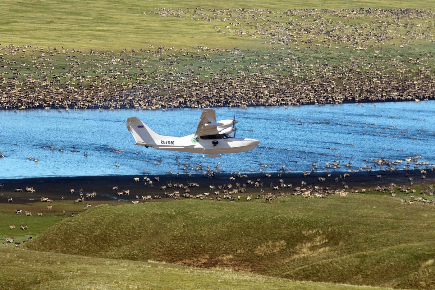 Край дикого северного оленя: от былого обилия к насущной потребности