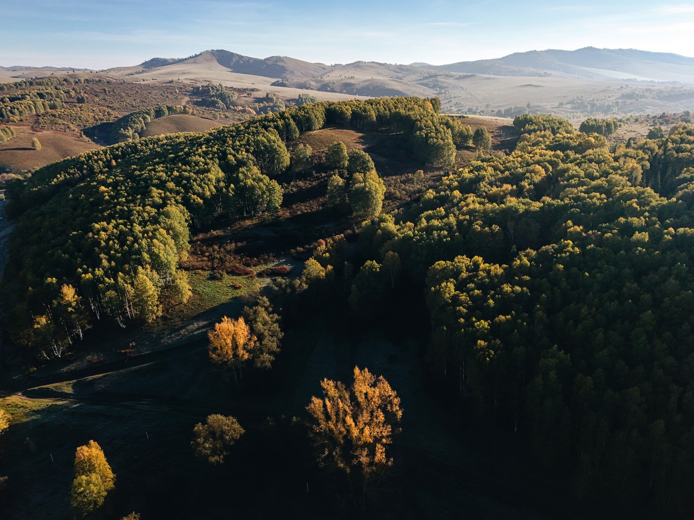 На реву и на стону