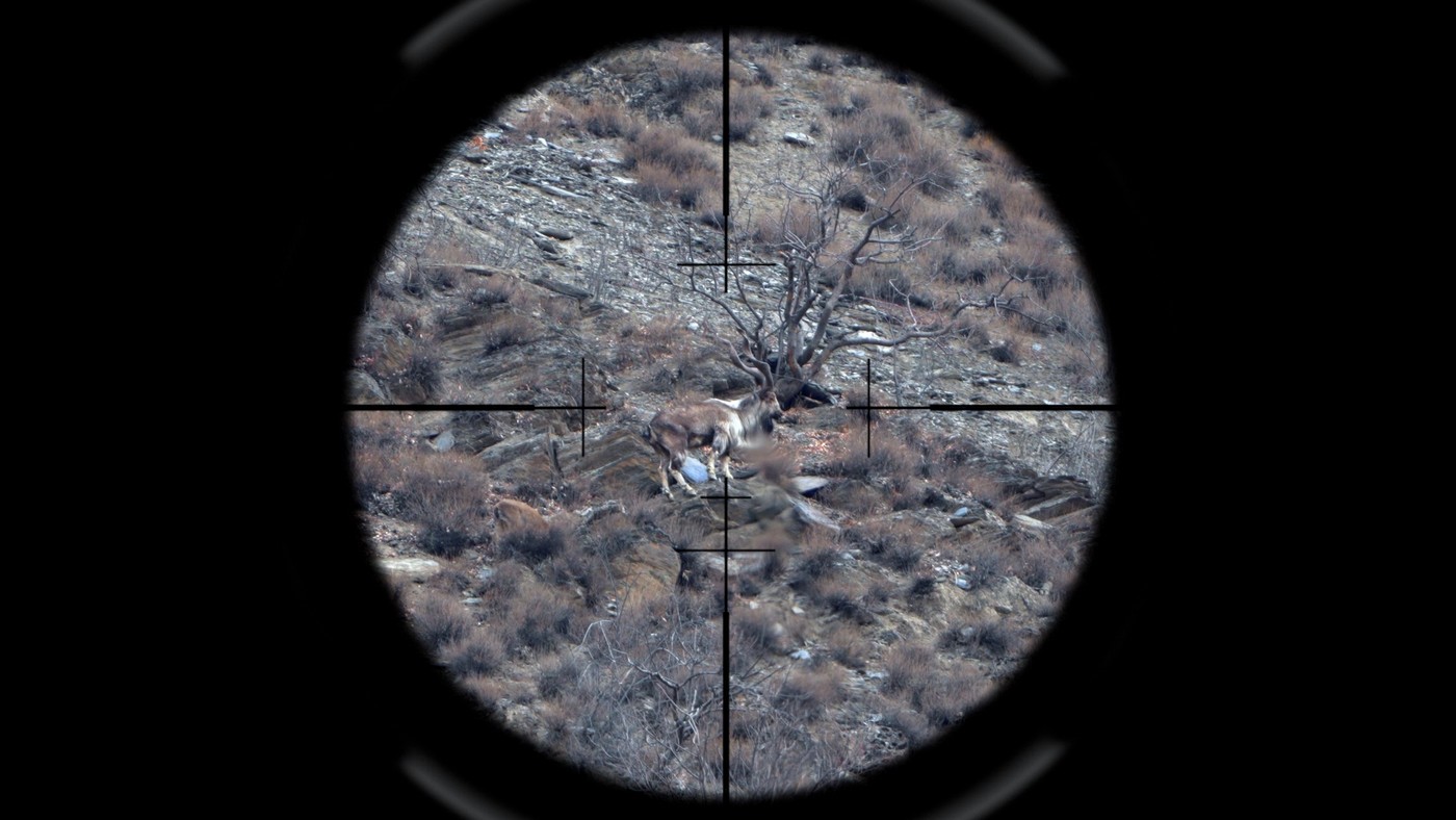 На земле пуштунов