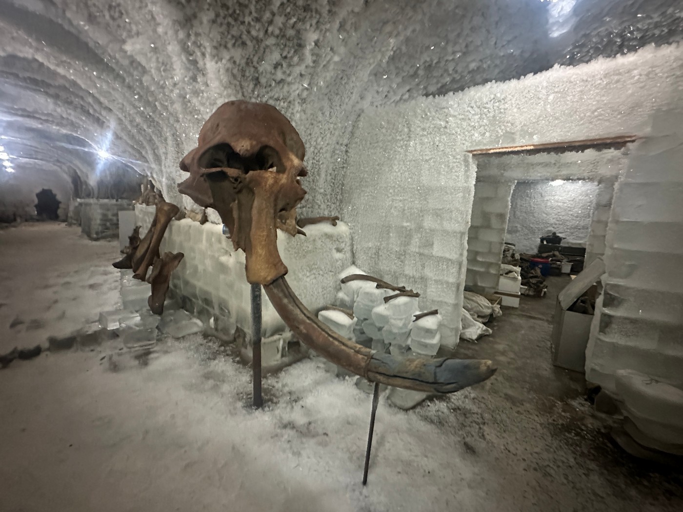 Путешествие в поисках Таймыра