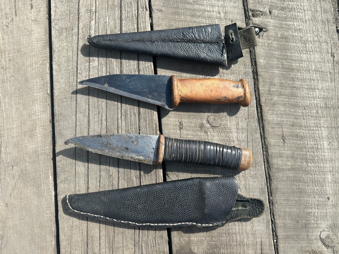 Путешествие в поисках Таймыра