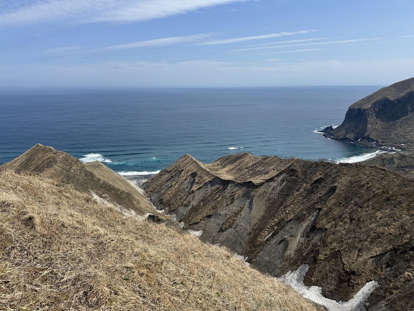 Медведи в бамбуке. Охота на Южных Курилах