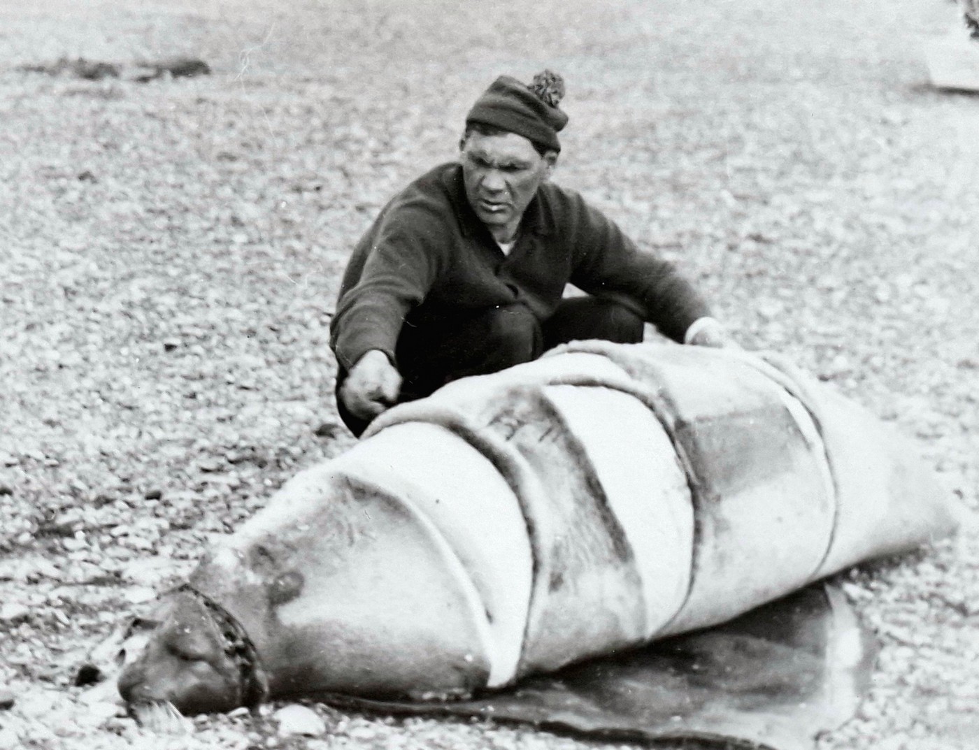 Организация охотничьего промысла в Тигильском госпромхозе в 1970–1980-х годах