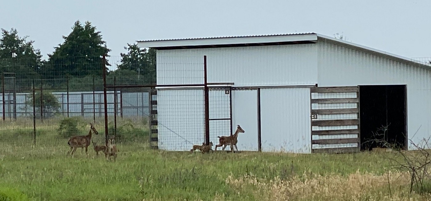 О перспективах сотрудничества. Как помогает Клубу горных охотников ФБГУ ФНИЦ «Охота»