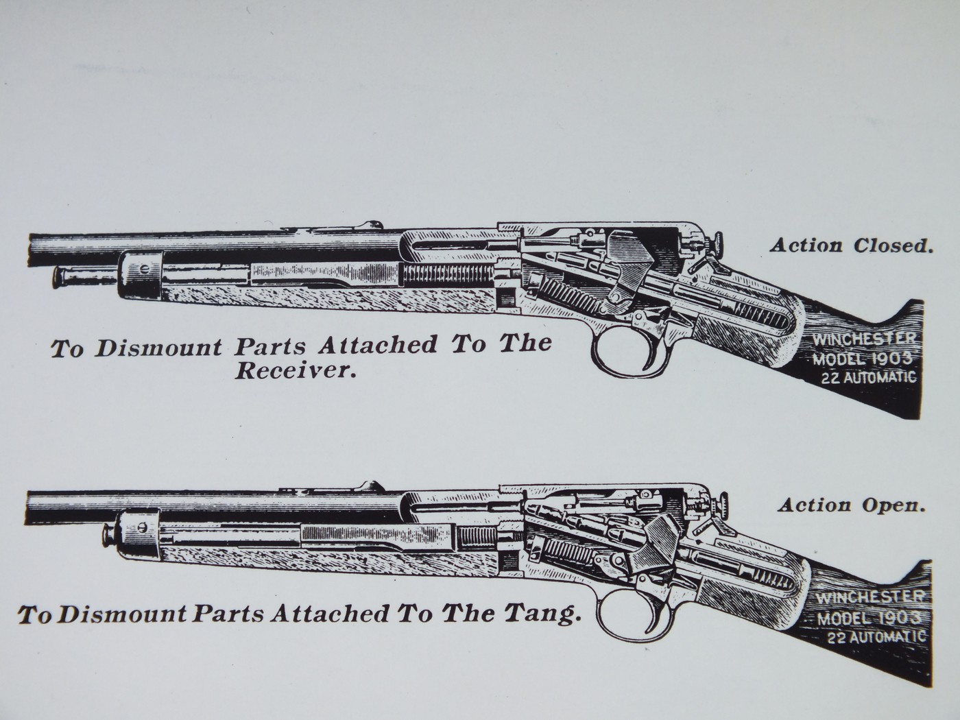 Рождённые для небытия. О карабинах Winchester Model 1903 и 1907