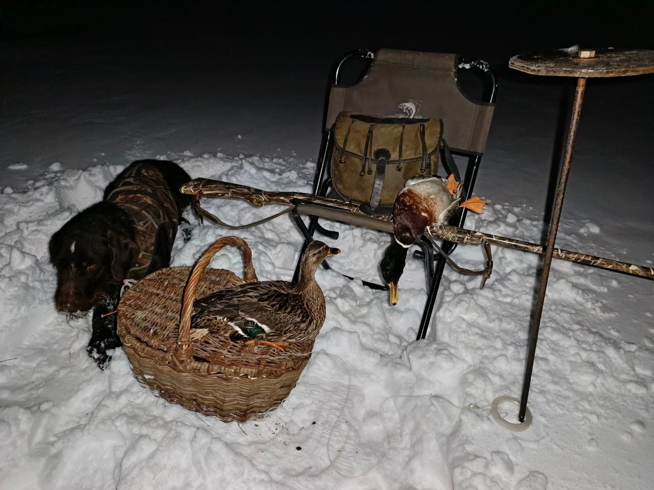 С подсадной в начале сезона