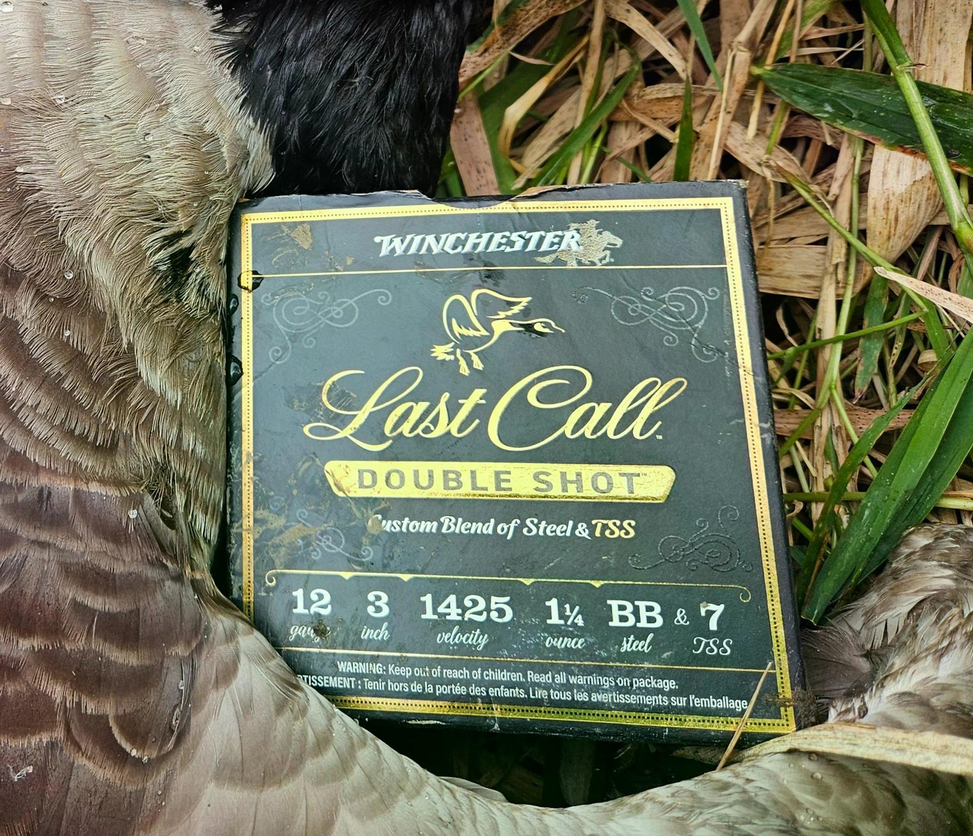 Свинец, сталь, вольфрам...