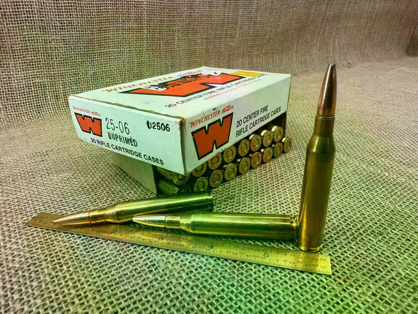 Патроны: дикие и домашние