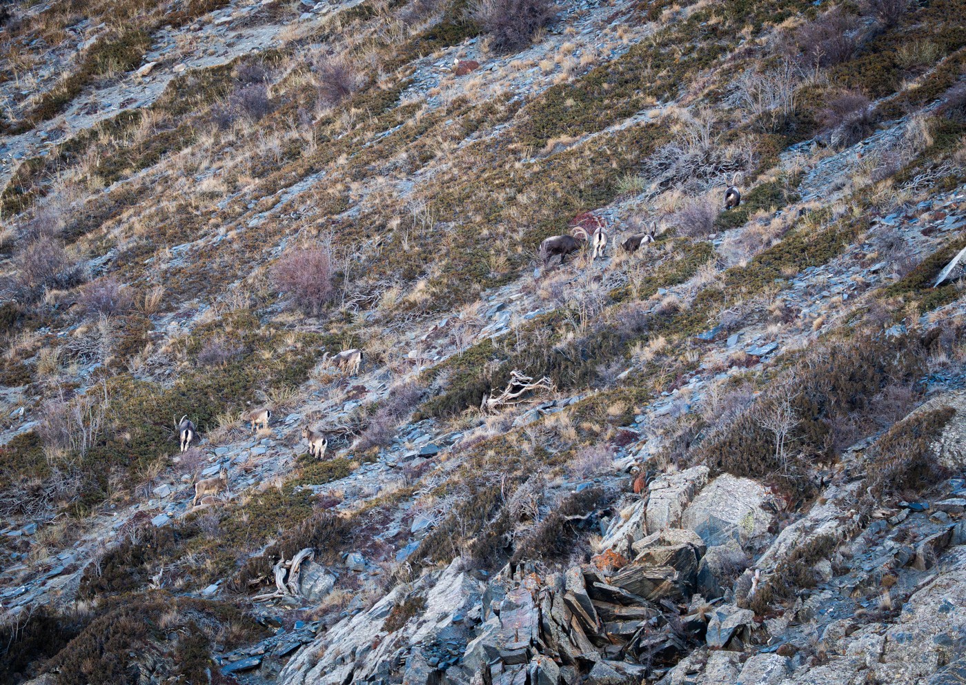 И снова Пакистан: всё сложно…
