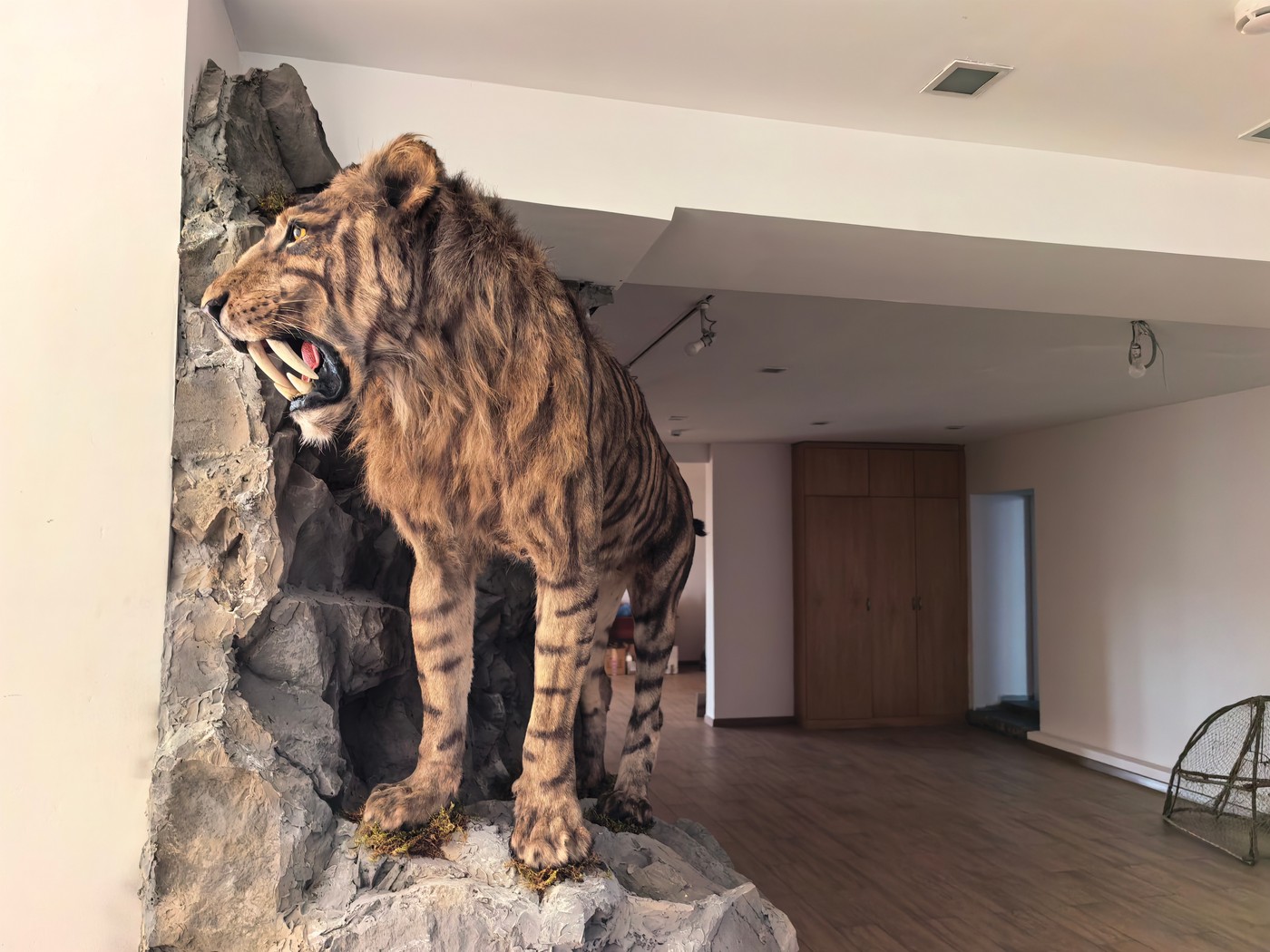 Музей охоты РОРС и его судьба