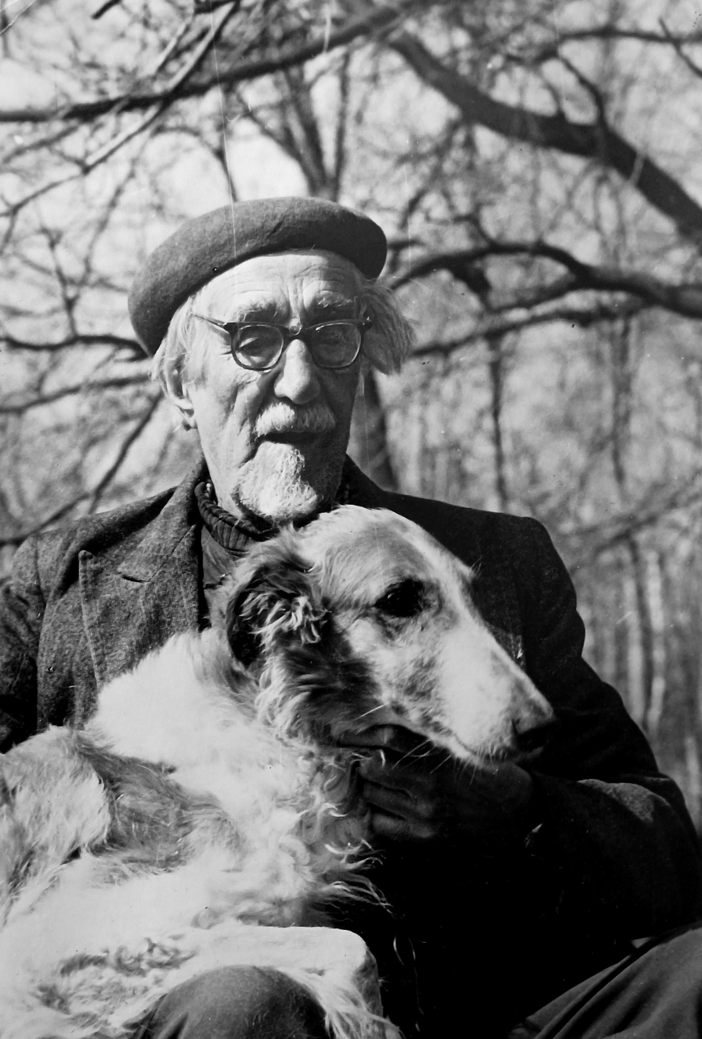 Молчат ли музы, когда грохочут пушки? Художники-анималисты во время Великой Отечественной войны