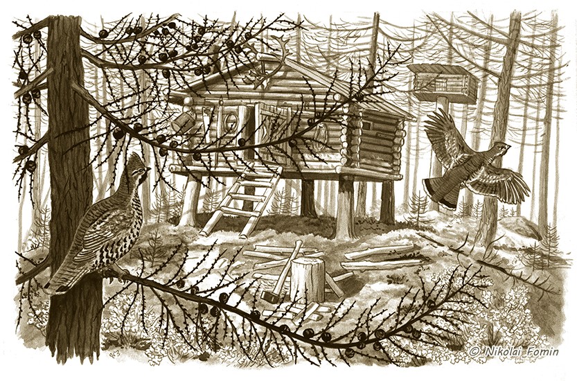 Николай Фомин – художник