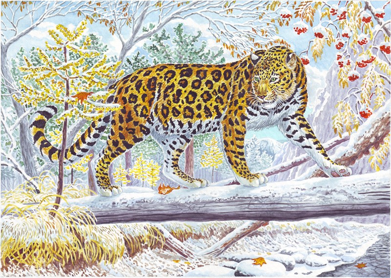 Николай Фомин – художник