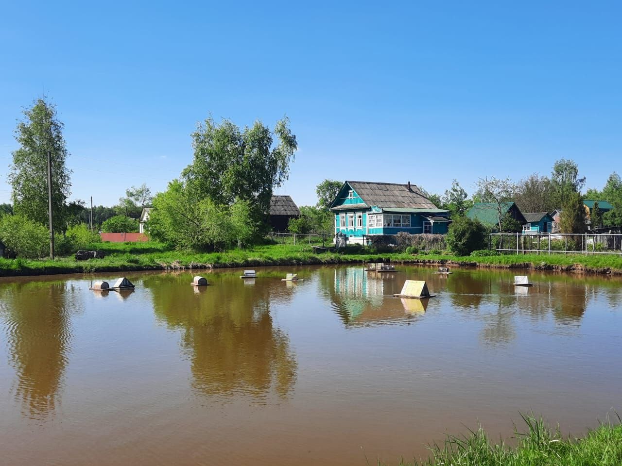 С подсадной уткой в Мещёре