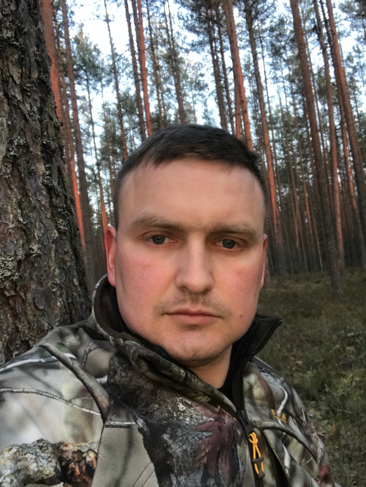 Медведь на овсах