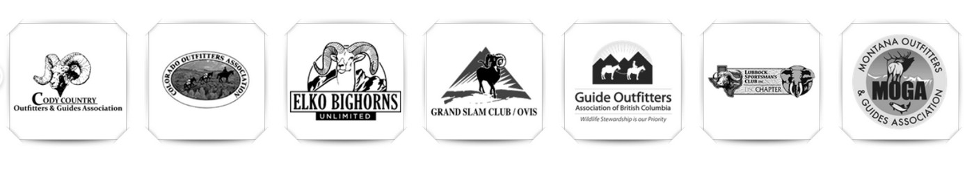 Wild Sheep Foundation и его миссия