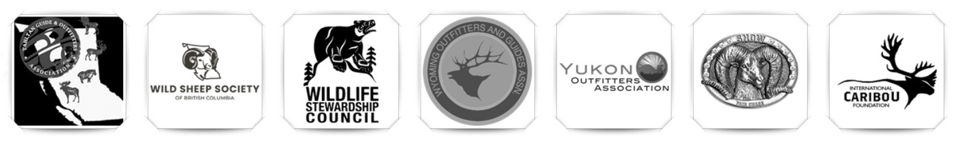 Wild Sheep Foundation и его миссия