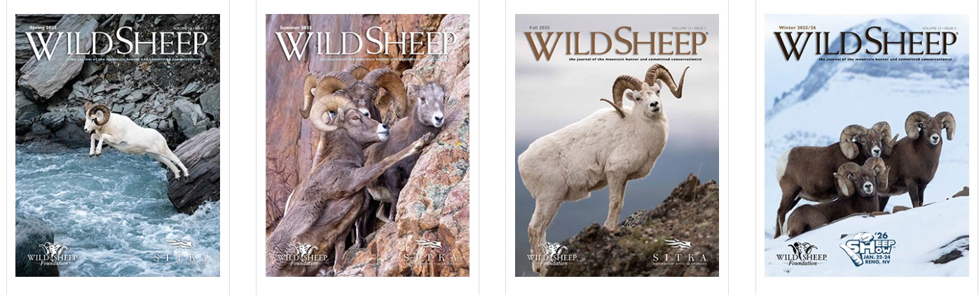 Wild Sheep Foundation и его миссия