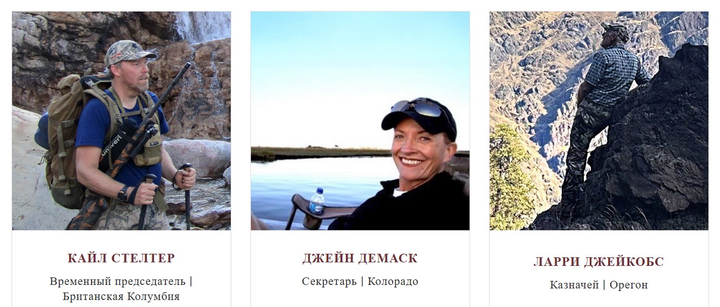 Wild Sheep Foundation и его миссия