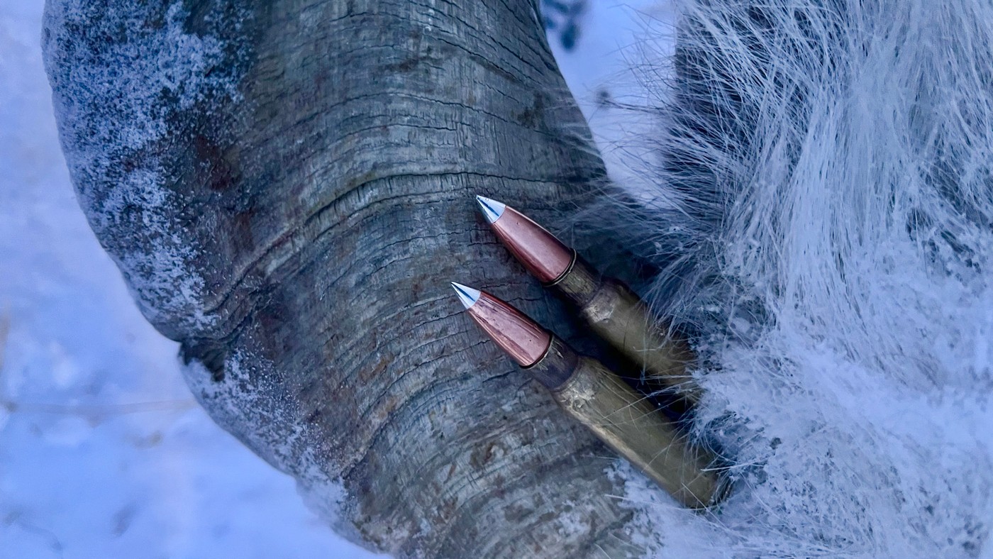 SAG Spear – прорыв года или «Сайга» за много денег?