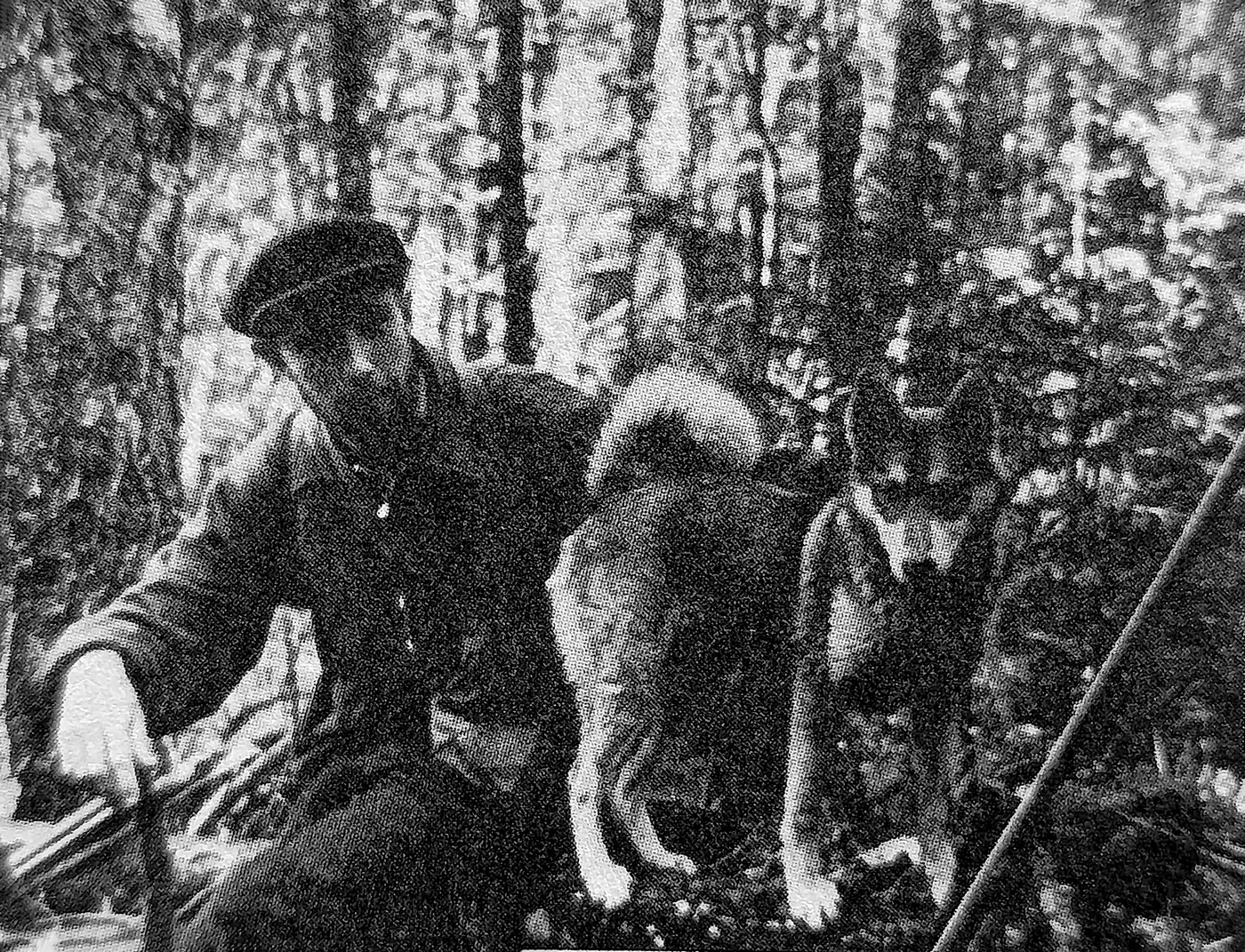 По следам «Голубой Тувы»