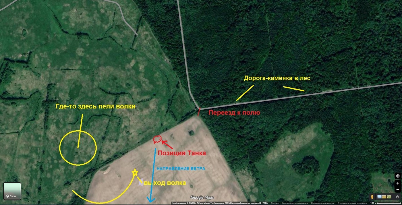 Неплохо мы попели! Волки в Калининградской области