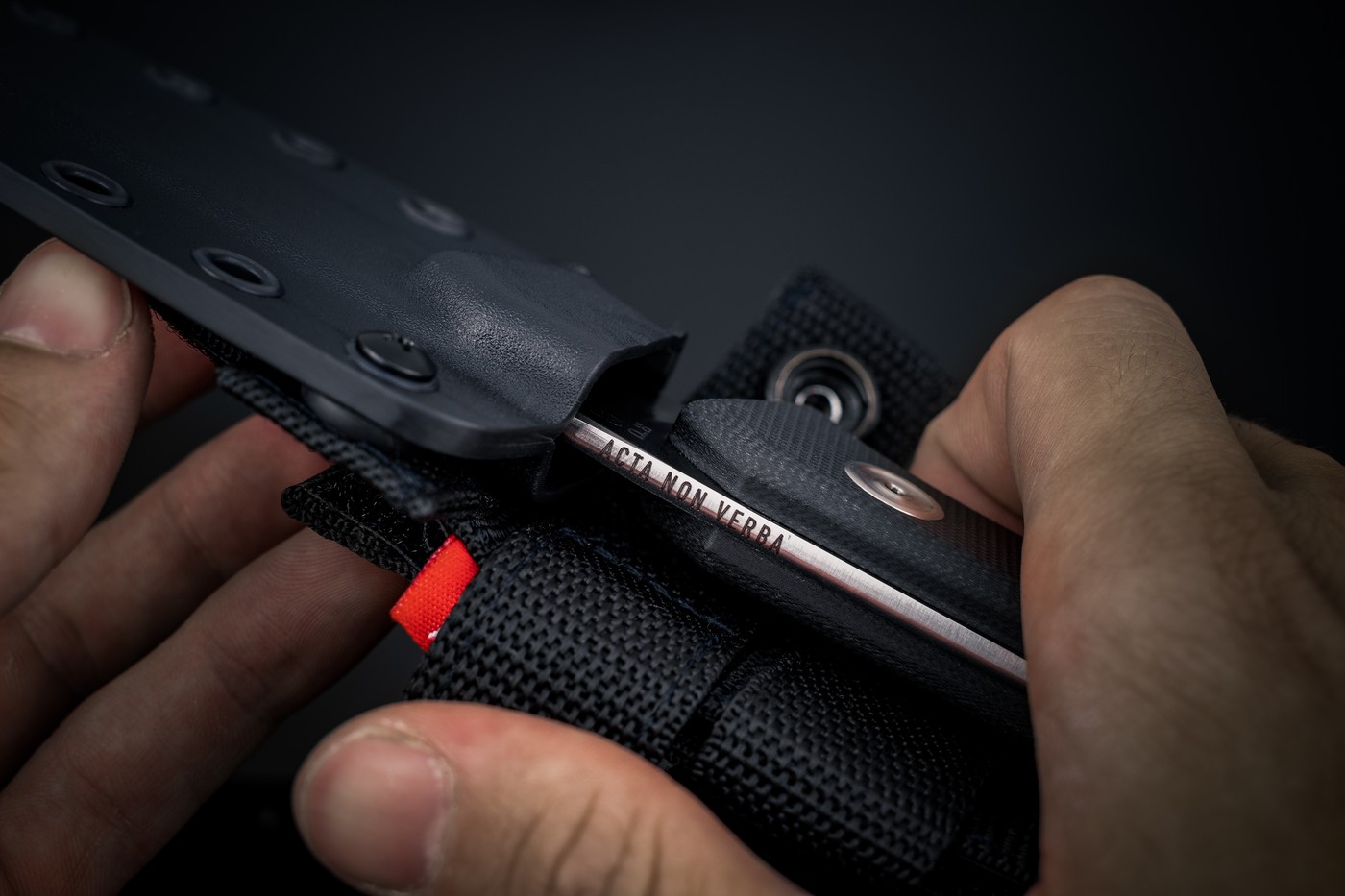 Acta, non-verba – ANV