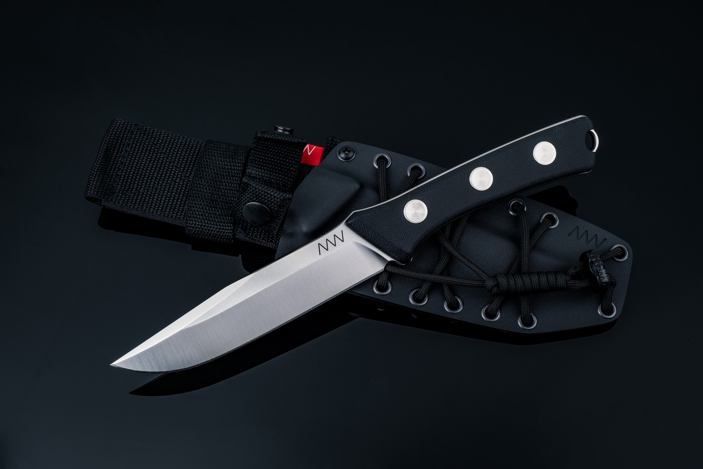 Acta, non-verba – ANV