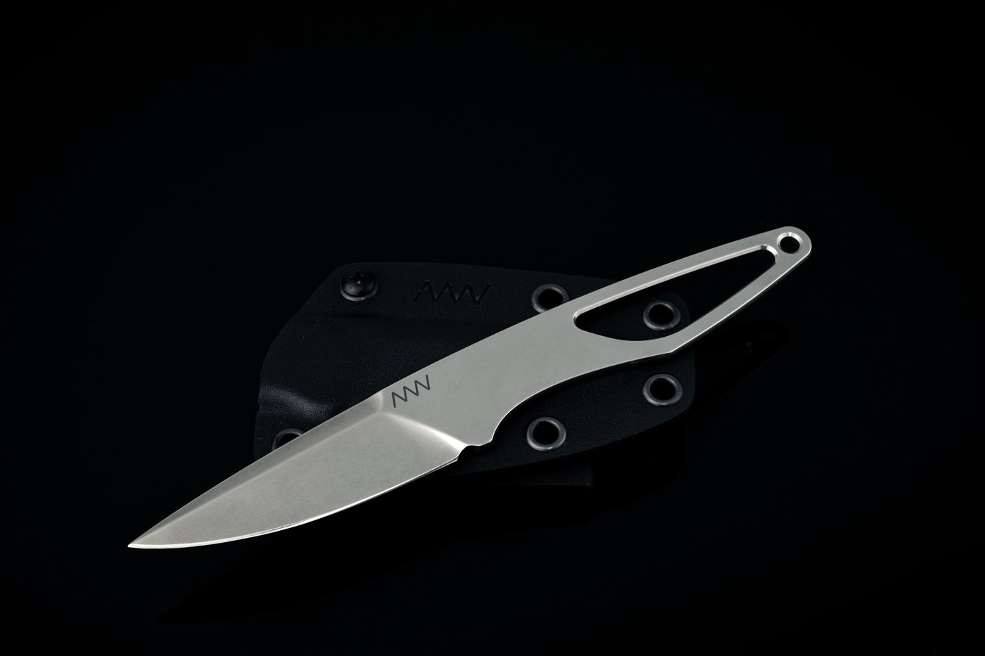 Acta, non-verba – ANV