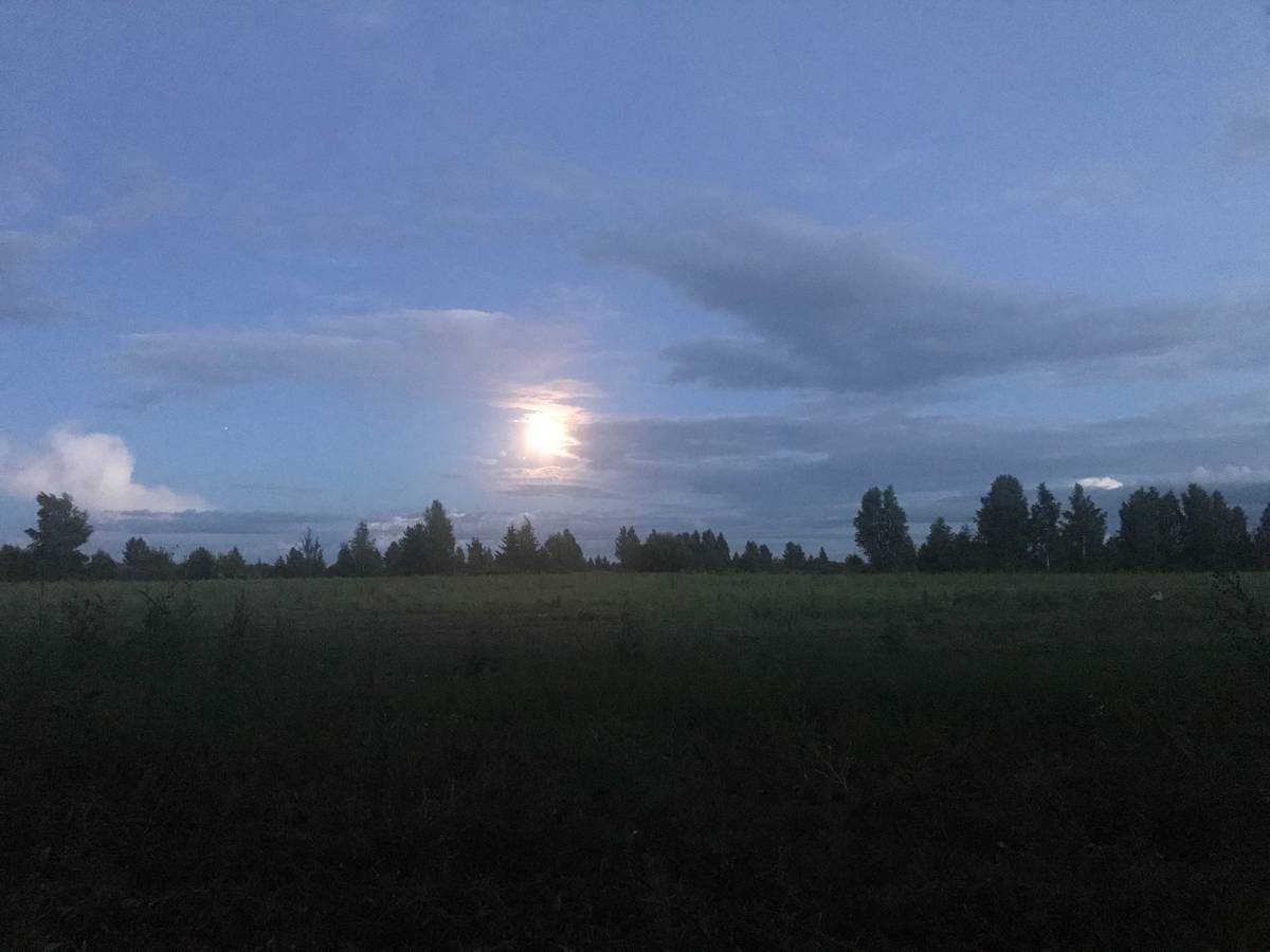 Луна, кабанчик и ночные прицелы