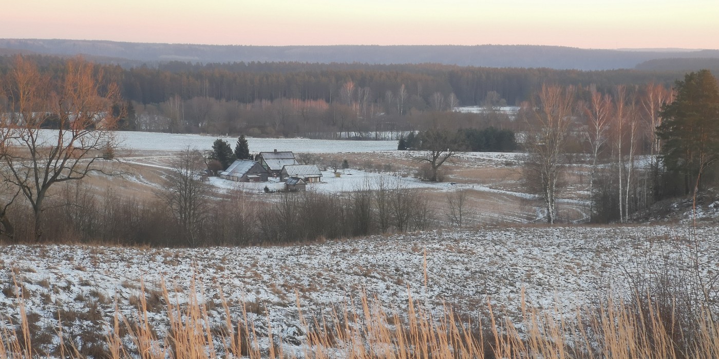 Литва: копытные и волки – современный взгляд на охоту