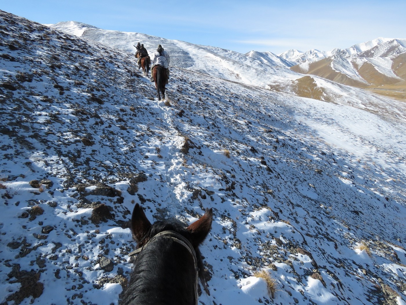 Его величество аргали: записки наблюдателя о горной охоте в Киргизии
