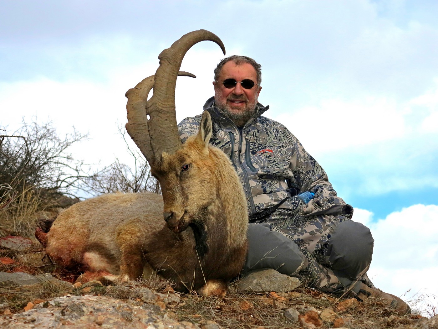 Безоаровый козёл: прародитель домашней козы - Русский охотничий портал