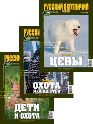 Журналы за 2025